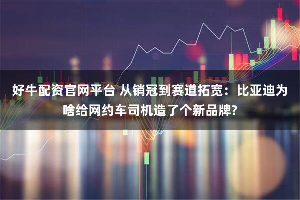 好牛配资官网平台 从销冠到赛道拓宽：比亚迪为啥给网约车司机造了个新品牌?