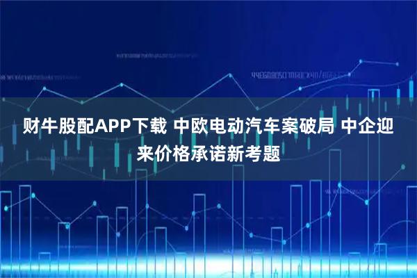财牛股配APP下载 中欧电动汽车案破局 中企迎来价格承诺新考题