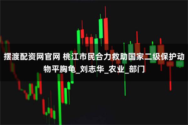 摆渡配资网官网 桃江市民合力救助国家二级保护动物平胸龟_刘志华_农业_部门