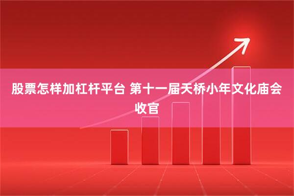 股票怎样加杠杆平台 第十一届天桥小年文化庙会收官
